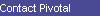 Contact Pivotal