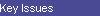 Key Issues